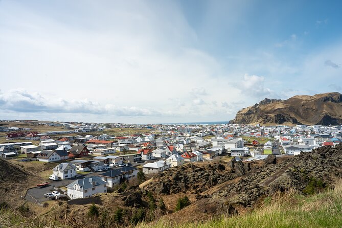 Westman Islands, Volcanoes and Puffins Small Group Tour - Tour Details