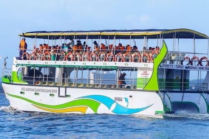 Whales and Dolphins Watching-Luxury Super Grade Cruiser(Hotel Pick up Offered) - Good To Know