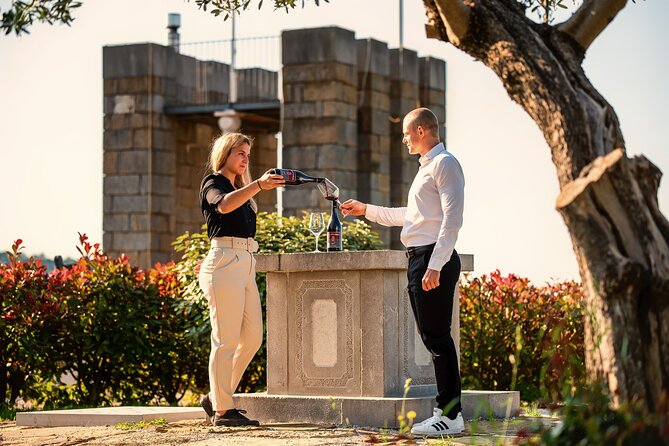 Wine Degustation in the Heart of Slovenian Istria - Good To Know