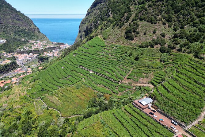 Wine Taste, 4×4 Jeep Adventure and Cabo Girão Skywalk