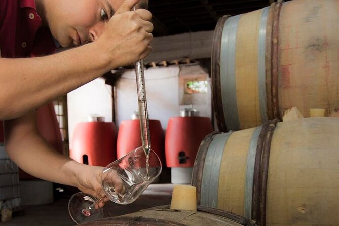 Wine Tasting Experience in Portugal - Good To Know