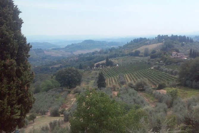 Wine Tasting in Chianti and San Gimignano - Good To Know
