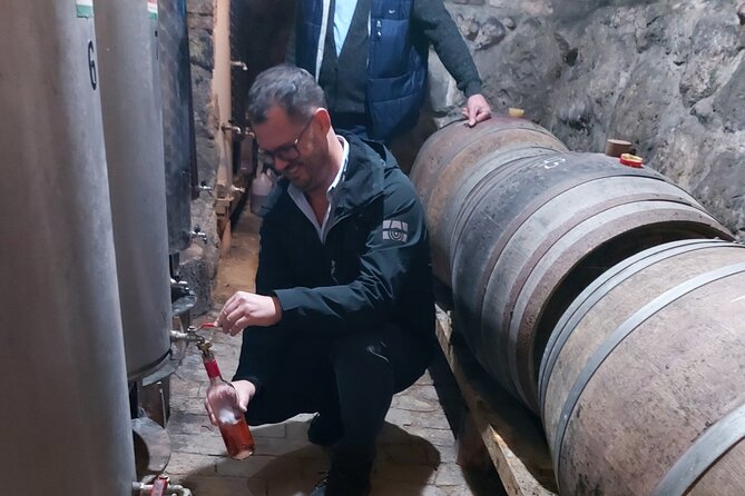 Wine Tasting in the Countryside From Budapest - Good To Know