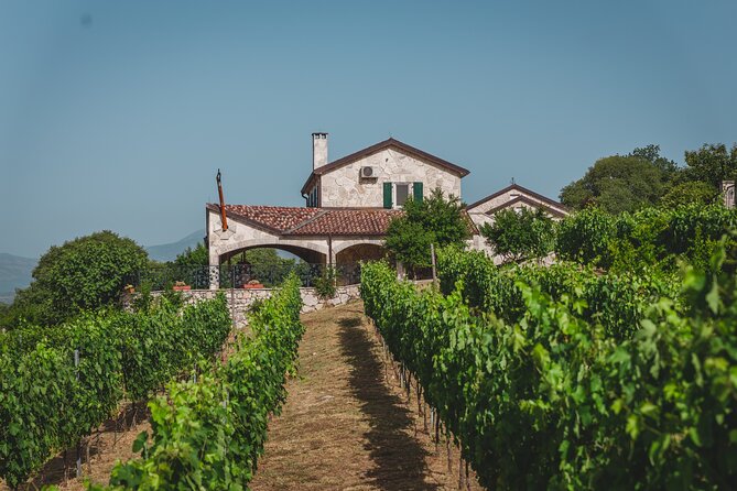 Wine Tour- Family Winery Visit, Food Tasting & Skadar Lake Boat Cruise