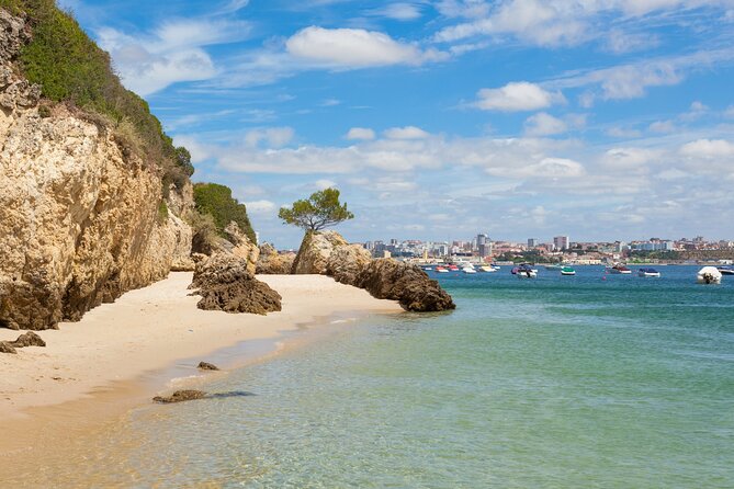 Wine Tour in Azeitão and Setúbal With Arrábida Beaches - Good To Know