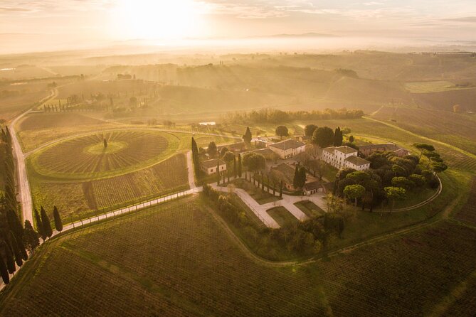 Wine Tour in Tuscany in the Wineries Selected by Wine Spectator - Good To Know