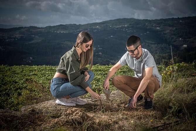Wine & Vine Planting | Quinta De Santa Cristina Vinho Verde - Good To Know