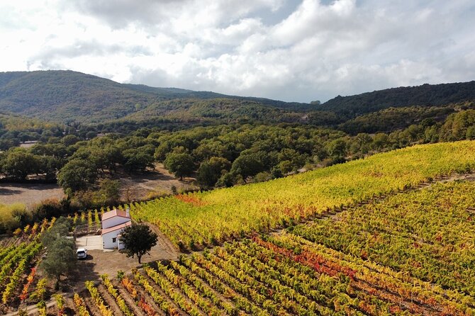 Winery Tour With Wine and Food Tasting in Nuoro - Good To Know