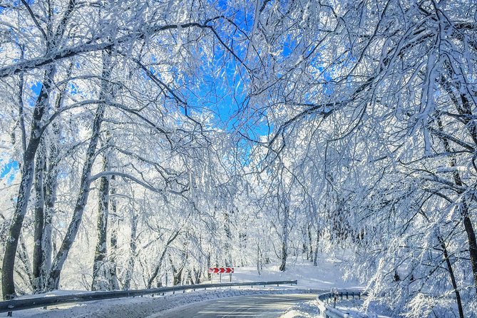 Winter Fun for Families: Sabaduri, Ananuri, Gudauri Adventure - Good To Know