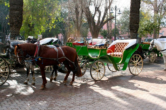 Withlocale Guide Marrakech Excursion -Group Shared- From Agadir