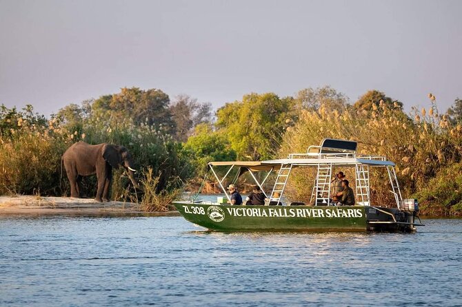 Zambezi River Safari - Good To Know