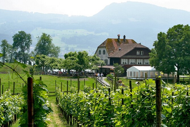 Zurich to Rapperswil Roses & Ufnau Island: City to Lake Escape - Good To Know