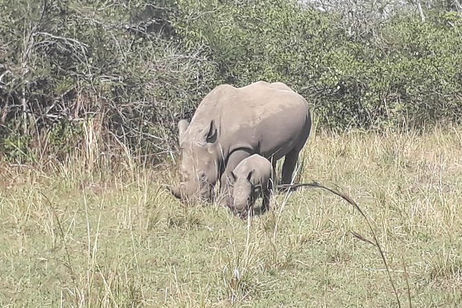 Zziwa Rhino Sanctuary Walking Safari - Good To Know