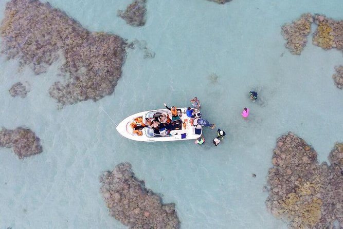 1-Day Diving Tour in Perobas/Rn - Leaving From Natal - Good To Know
