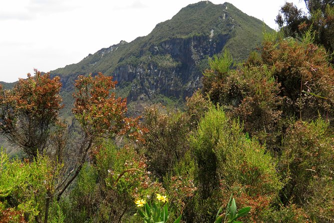 1 Day Hike to Mount Longonot - Good To Know