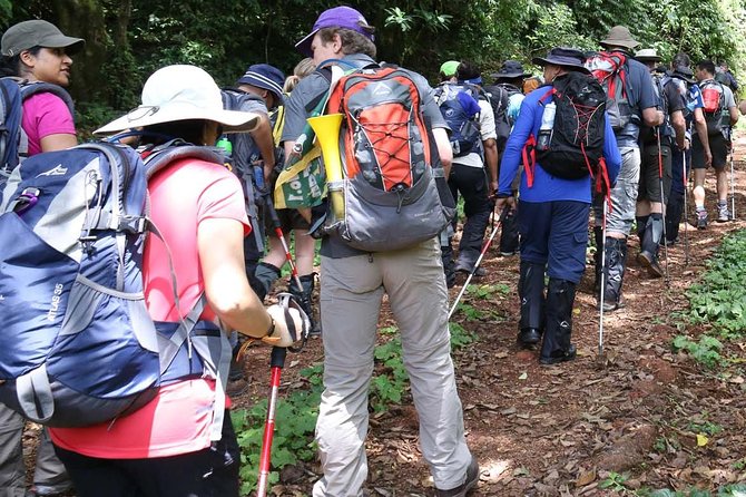 1 Day Kilimanjaro Hike Machame Route - Good To Know