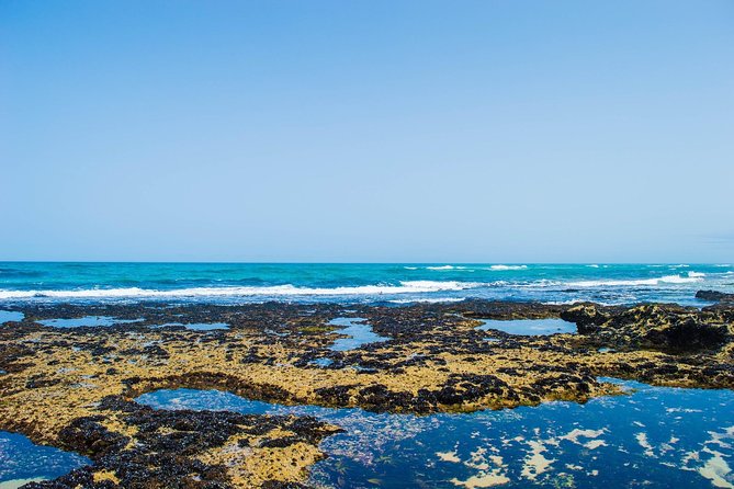 1 Day Private Excursion to Oualidia From Rabat - Good To Know