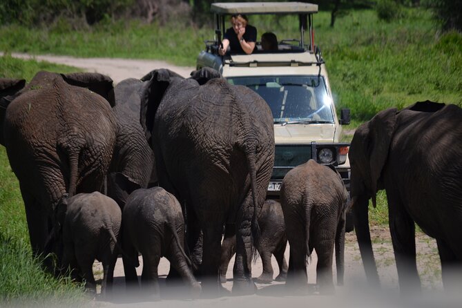 1 Day Tarangire National Park Private Safari - Good To Know