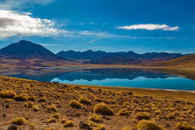 1-Day Tour Altiplanic Lagoons and Piedras Rojas and Laguna Chaxa - Good To Know