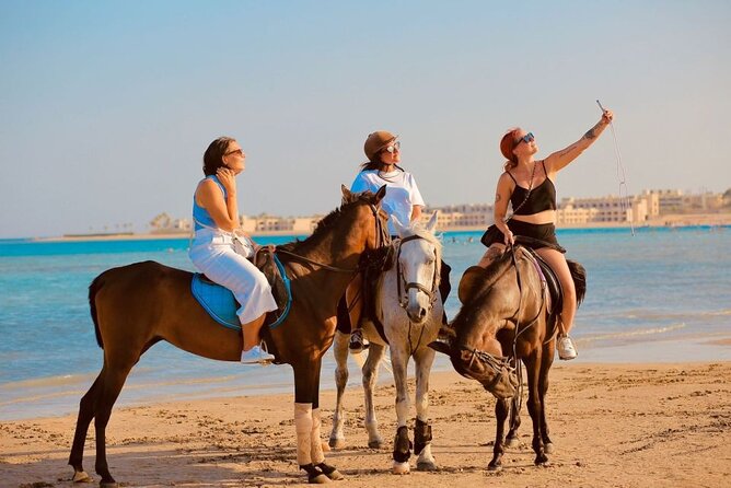 1-Hour Horse Ride Adventure in Sharm El-Sheikh - Good To Know