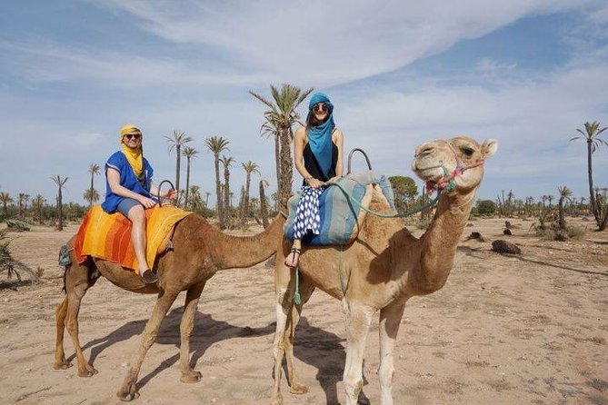 1 Hour Riding Camel in Palmeraie Marrakech, Ride Camel in Palmeraie Marrakech - Good To Know