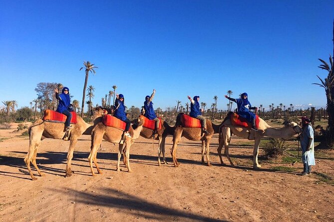 1 Hour Shared Camel Ride in Palmeraie - Good To Know