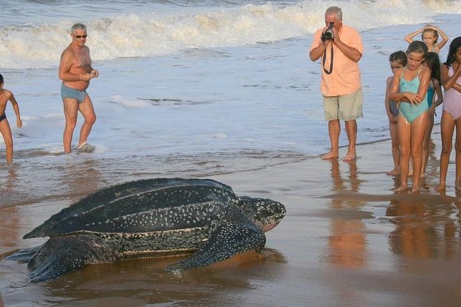 1 Night, 2 Days - PACUARE + Pacuare Reserve (Near to Tortuguero National Park) - Good To Know