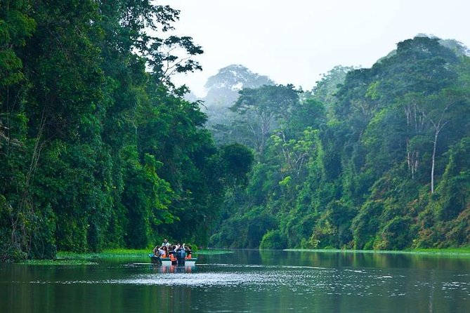 1 Night in Tortuguero + Tour to the Tortuguero National Park - Good To Know