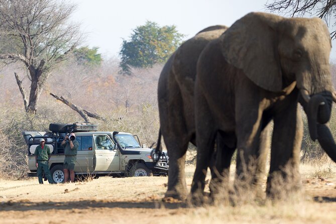 10 Day Great Migration Photographic Safari - Good To Know