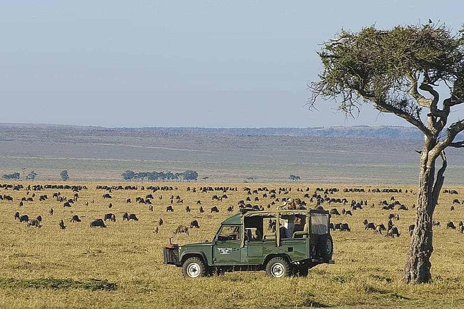 10 Days Africa Photographic Safaris Package - Good To Know