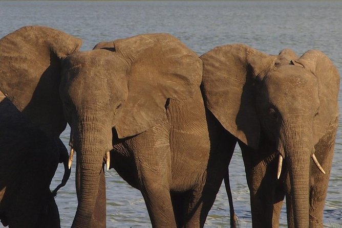 10 Days Beauty of Namibia | Camping - Good To Know