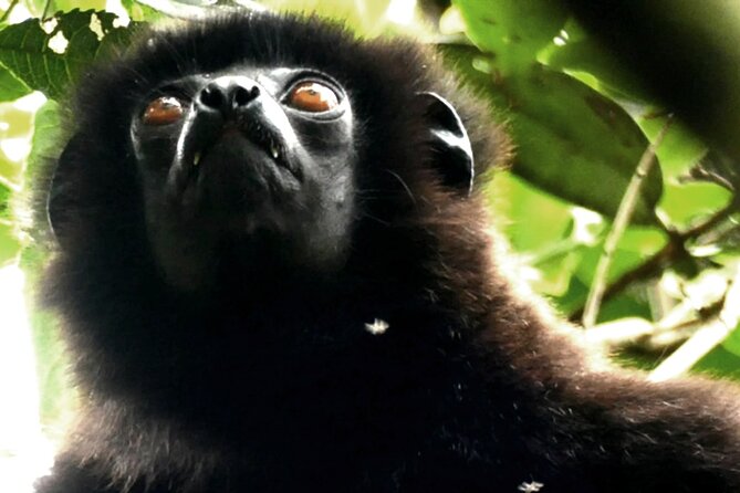10 Days Private Madagascar Tour - Good To Know