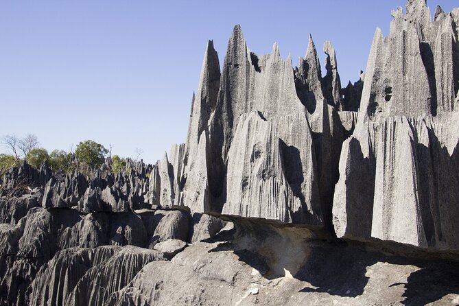 11-Day Highlights of Madagascar - Good To Know