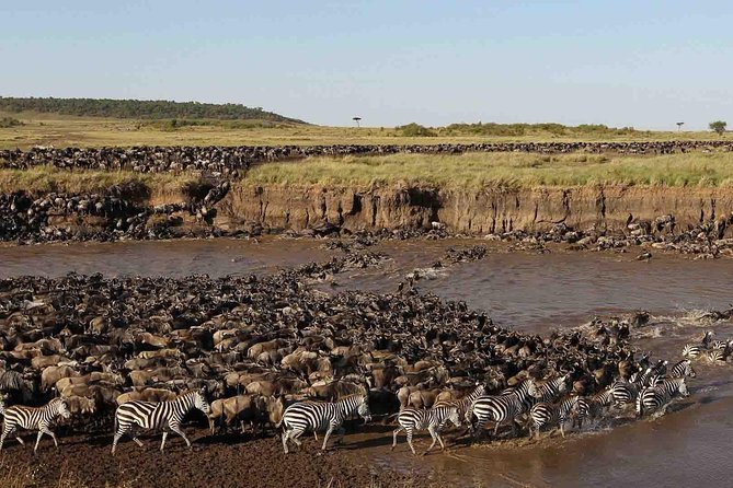 11 Days / 10 Nights Join Group Safari - Good To Know