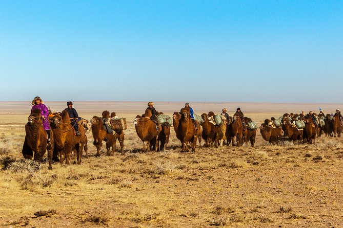 11 Days Camel Caravan of South Gobi - Good To Know