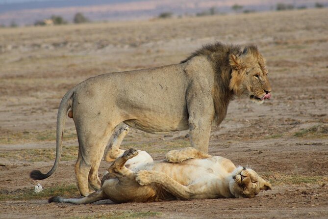 11 Days Vegans Private Safari - Good To Know