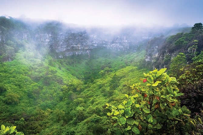 12-Day Private Ecuador & Galapagos Regenerative Tour - Good To Know