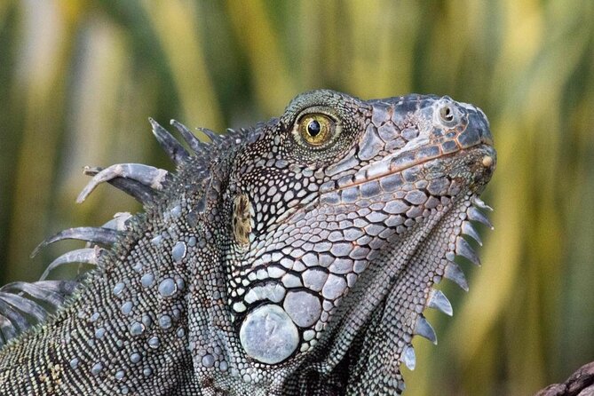 12-Days Andes, Coast & Galápagos From Quito - Good To Know
