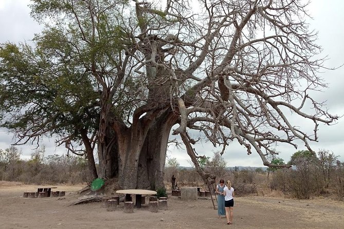 13 Days South and Eastern Tanzania Safari and Historical Sites. - Good To Know