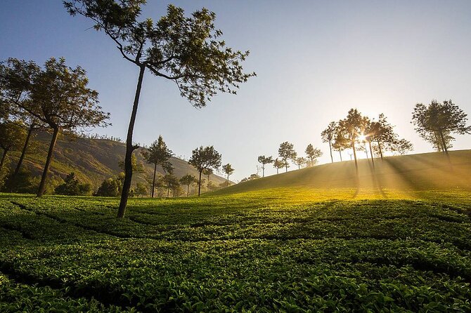 15 Days Private Tour in North India Mumbai and Kerala - Good To Know