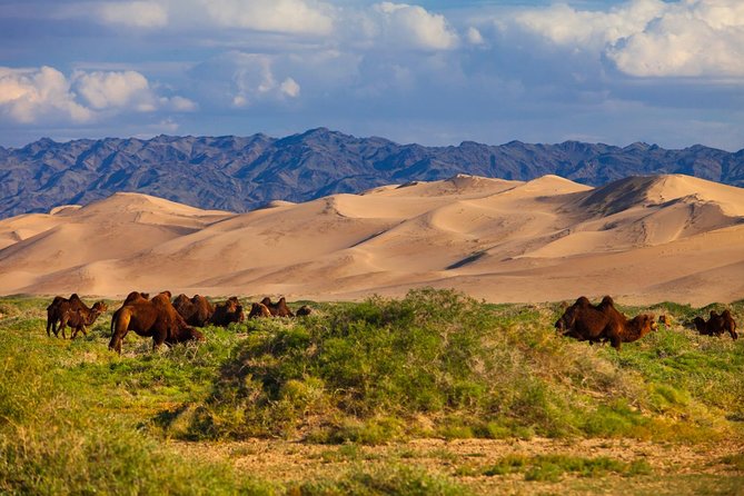 16 Days From Desert to Steppe - Good To Know