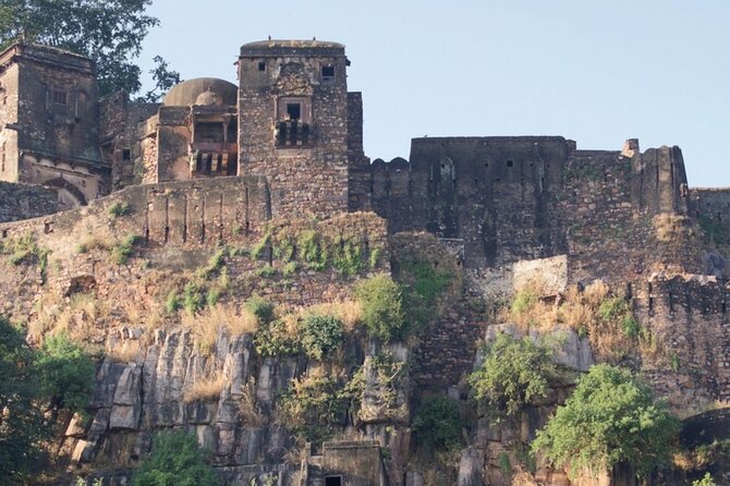 03 Days Private Ranthambore Wildlife Safari Tour From Delhi - Inclusions and Logistics