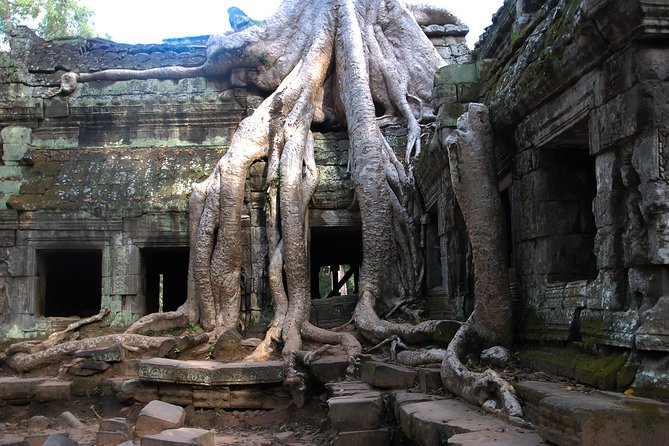 1-Day Angkor Wat Small Circuit Tour With Sunrise - Itinerary Highlights