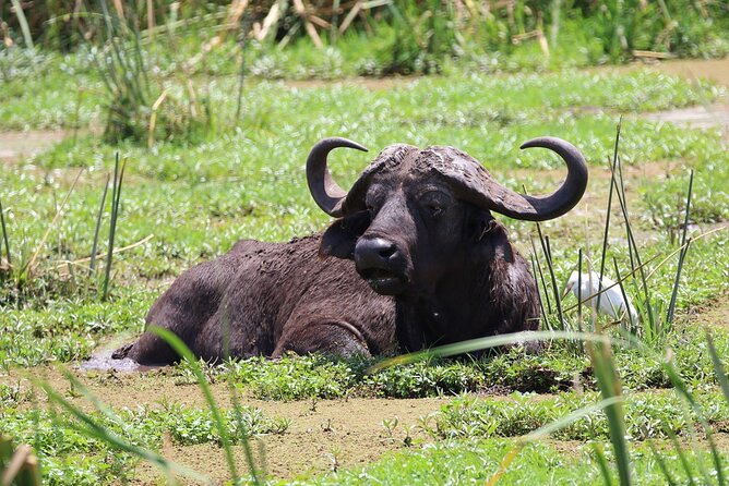 1 Day: Cycling Tour to Arusha National Park - Pickup and Drop-off Details