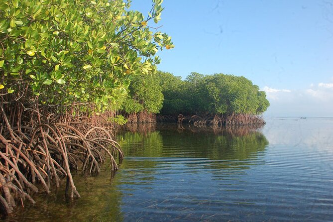 1 DAY Enjoy Lembongan Island! Snorkeling + Mangrove Exploration + Sightseeing on the Island Such as the Scenic Spot Devils Tears / Marine Sports Enjoyment Banana Boat / Transfer Included - Important Details