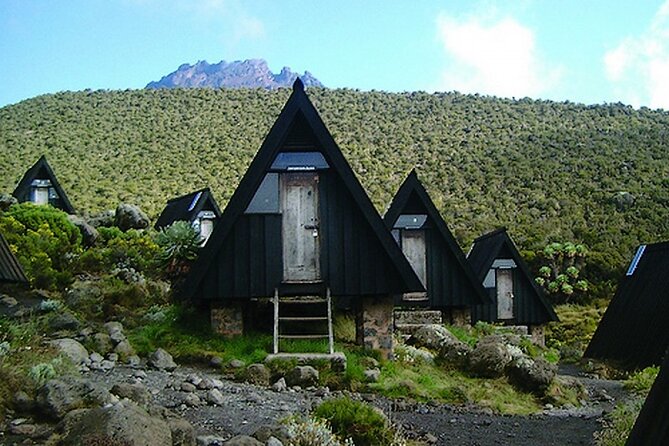 1-Day Hike - Mount Kilimanjaro - Trip Overview