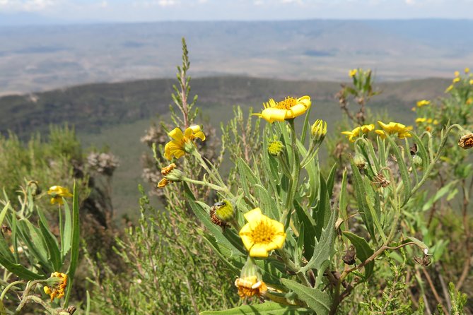 1 Day Hike to Mount Longonot - Trip Details