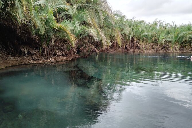 1 Day Hot Springs
