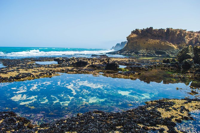 1 Day Private Excursion to Oualidia From Rabat - Pickup Instructions