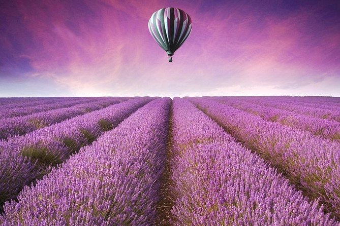 1 Day Romantic Tour in Oriental Provence Lavender Manor and Mutianyu Great Wall - Itinerary Overview